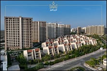 رویای کیش